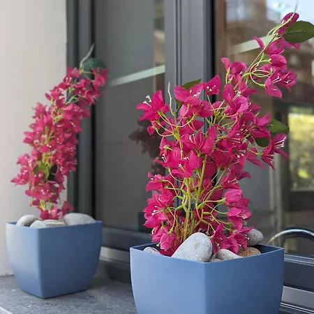 I Colori Della Sicilia Appartement